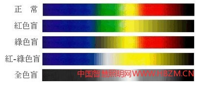 下圖是色盲的分類