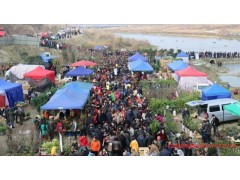 這個(gè)元宵什邡活動(dòng)多：趕馬井、看燒燈