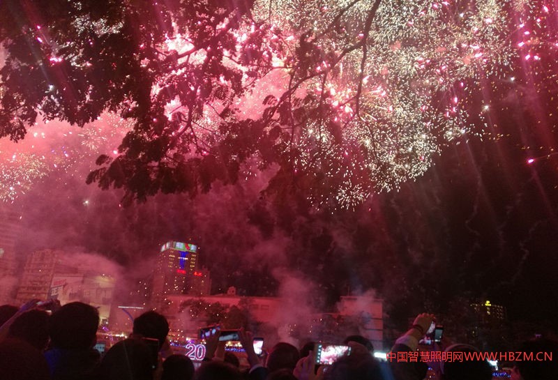 仰望夜空觀看精彩花火秀。