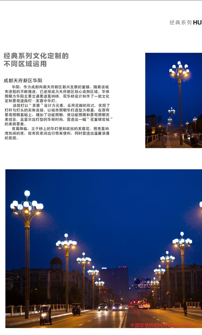 文化定制芙蓉中華燈不同區(qū)域的應用成都天府新區(qū)華陽