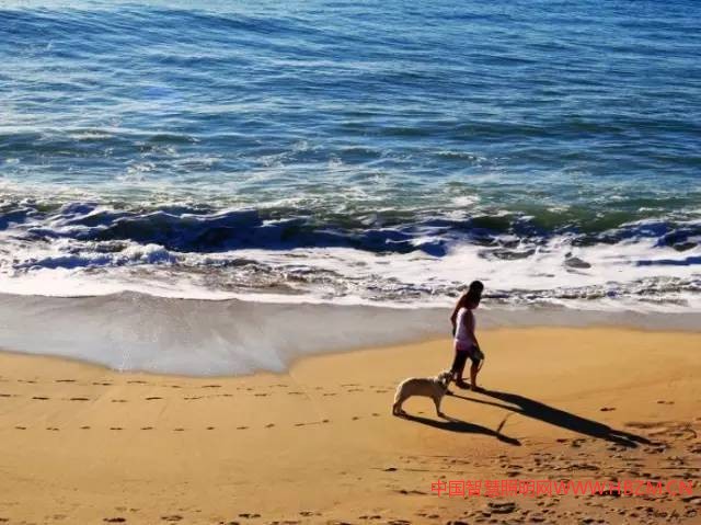 微信圖片_20170506211922