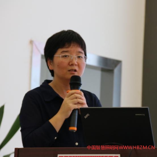 中山華標(biāo)檢測舉辦2017燈飾照明國際認(rèn)證研討會