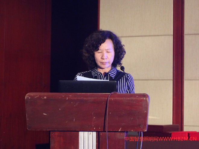河北省照明行業(yè)協(xié)會(huì)副會(huì)長(zhǎng)、秘書(shū)長(zhǎng)張燕