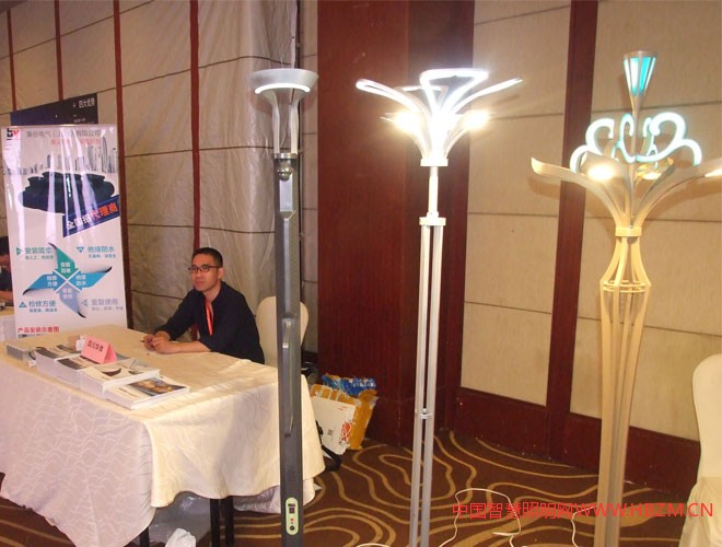 華體照明2017河北城市照明發(fā)展合作論壇對(duì)接會(huì)現(xiàn)場(chǎng)