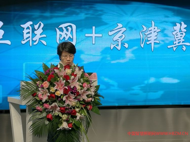  天津市照明協(xié)會(huì)理事長(zhǎng)，天津市照明學(xué)會(huì)副理事長(zhǎng)，天津華彩信和電子科技集團(tuán)董事長(zhǎng)李樹(shù)華主持開(kāi)幕式