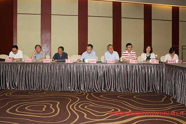 雄安智能照明專家領(lǐng)導(dǎo)