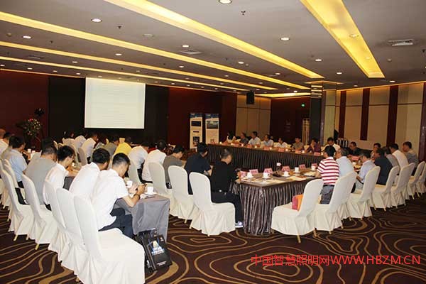 智慧照明在雄安座談會