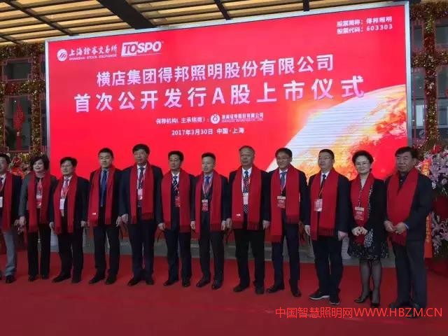 中國智慧照明網