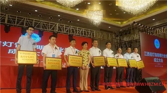 中國(guó)智慧照明網(wǎng)