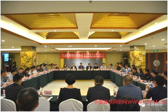 中國(guó)智慧照明網(wǎng)