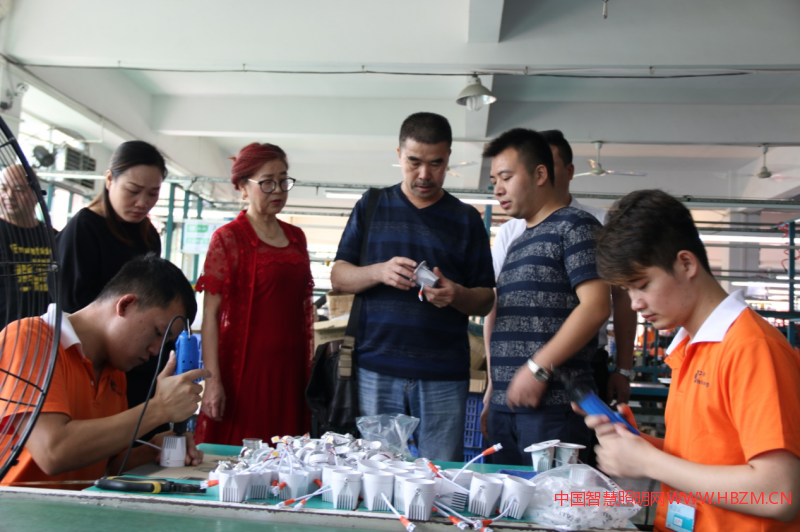 LED專(zhuān)業(yè)委員會(huì)輪值會(huì)長(zhǎng)深入瑞麒照明走訪調(diào)研