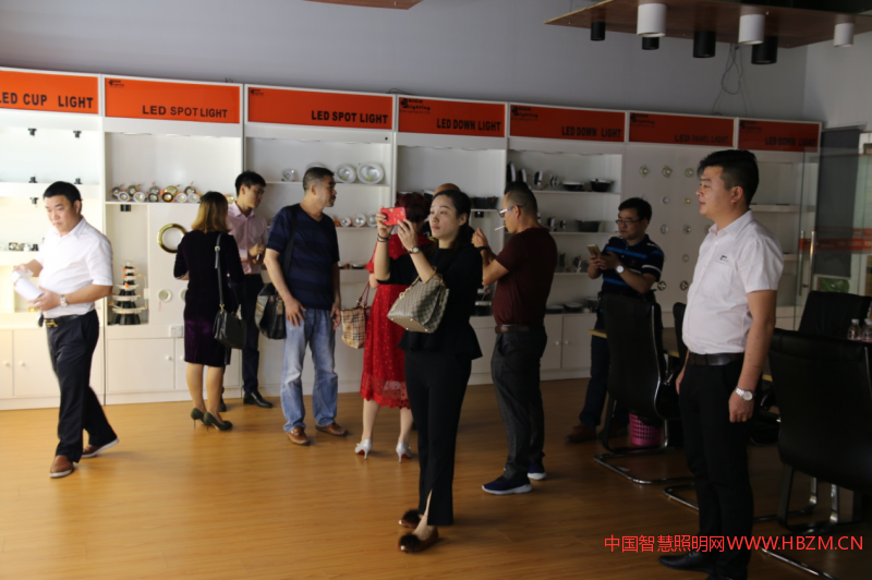 LED專(zhuān)業(yè)委員會(huì)輪值會(huì)長(zhǎng)深入瑞麒照明走訪調(diào)研