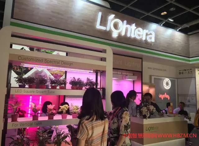 19屆香港國際秋季燈飾展在香港會議展覽中心盛大開幕