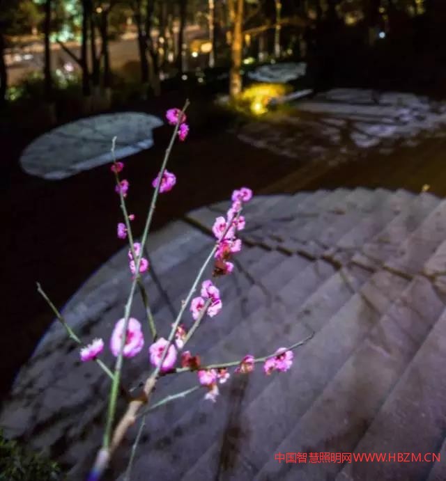 照母山遠(yuǎn)景似繁星點(diǎn)點(diǎn)