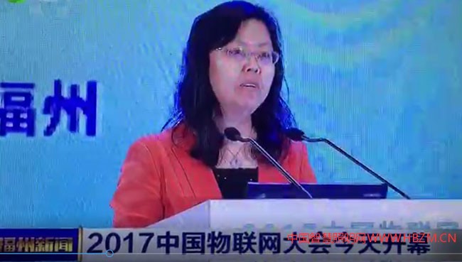  工信部信息化和軟件服務(wù)業(yè)司副司長(zhǎng)朱婉