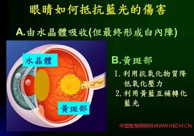 圖1早發(fā)性白內(nèi)障