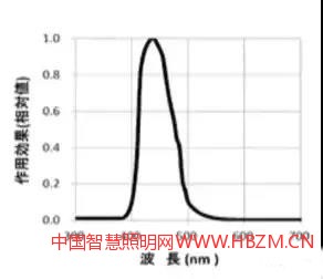 圖5藍光傷害光譜函數(shù)B（&lambda;）