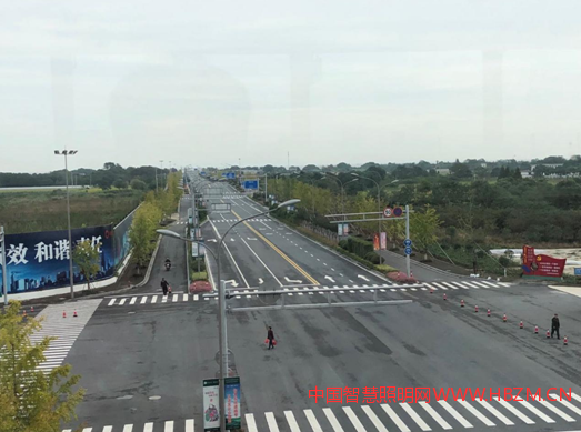 低色溫高光效標準化暖黃光LED路燈在城市照明中白天效果圖   