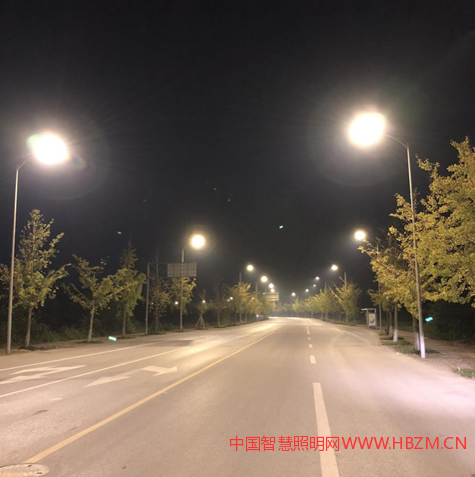 低色溫高光效標準化暖黃光LED路燈在城市照明中夜晚效果圖