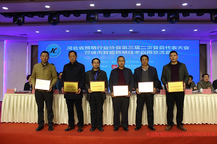 2017年河北省照明行業(yè)&ldquo;優(yōu)質(zhì)服務(wù)窗口單位&rdquo;合影