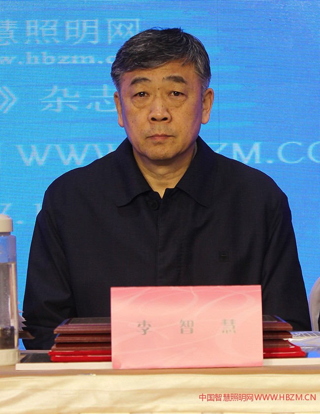 河北省照明行業(yè)協(xié)會(huì)會(huì)長(zhǎng)李智慧先生