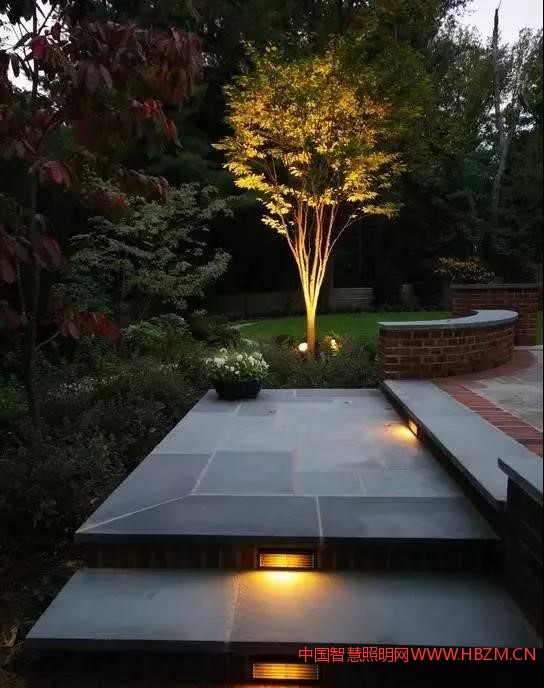 當(dāng)需要照亮一顆窄而高的樹木時(shí)，最好選擇光束角為6&deg;-20&deg;之間的燈具照射。