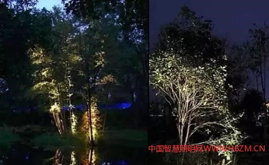 通過調(diào)整燈具與植物的距離以減弱或加強(qiáng)紋理