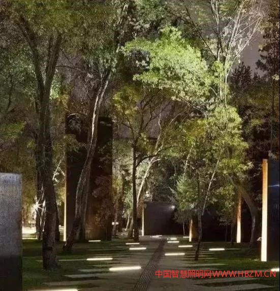 常用的植物照明表現(xiàn)手法有五種，分別是投射照明、掠射照明、內(nèi)透照明、剪影照明以及落影照明。