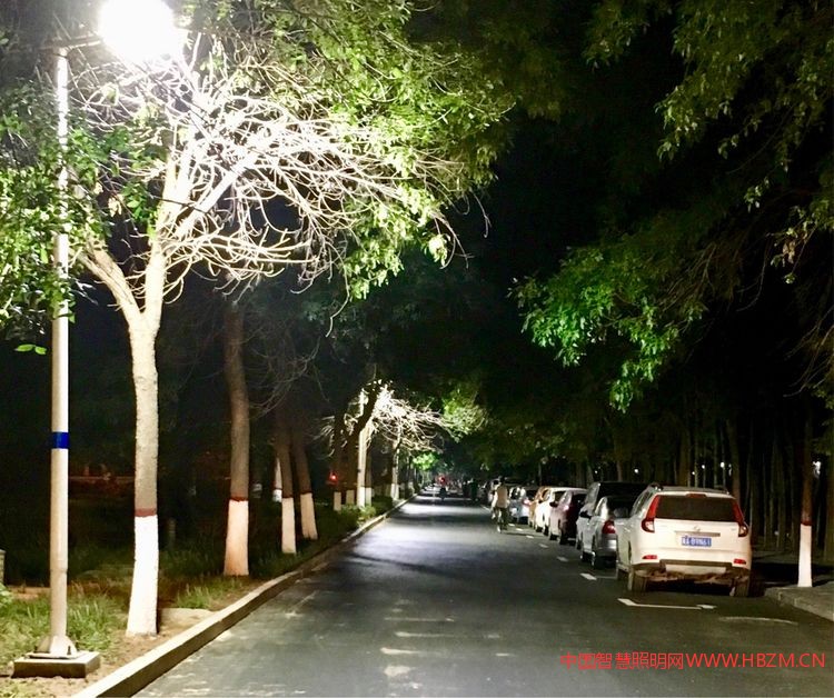 衡水市路燈管理處2017年度城市照明工作報告