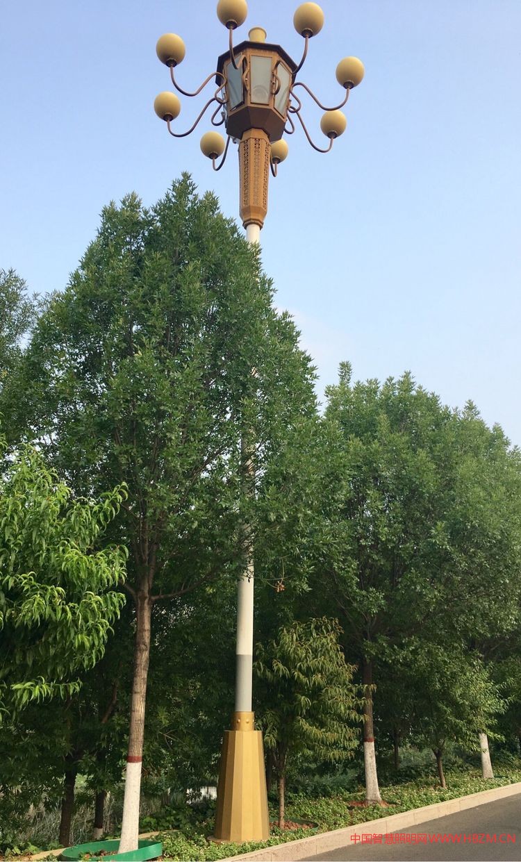 衡水市路燈管理處2017年度城市照明工作報告