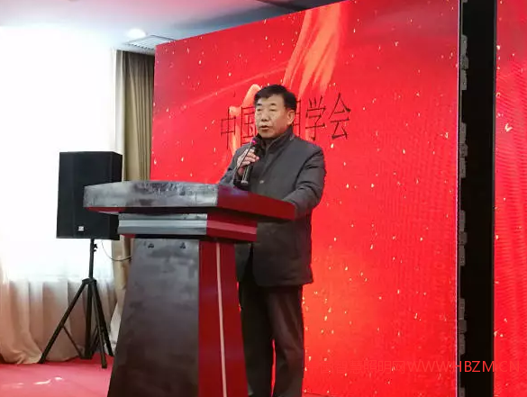 中國照明學(xué)會理事長 邴樹奎