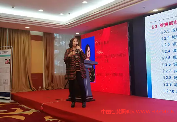 廣東正力通用電氣有限公司總裁 廖志梅