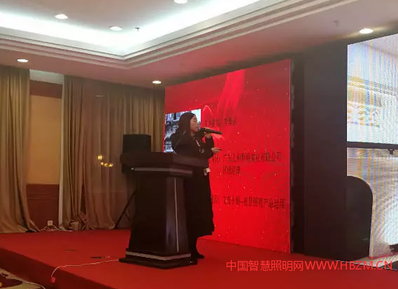 廣東人和照明實(shí)業(yè)有限公司區(qū)域總經(jīng)理 李海麗