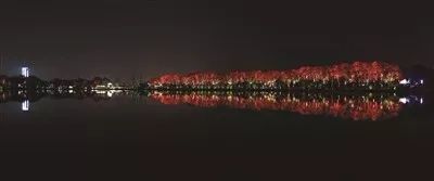 南京&mdash;&mdash;發(fā)布玄武湖夜景照明成果