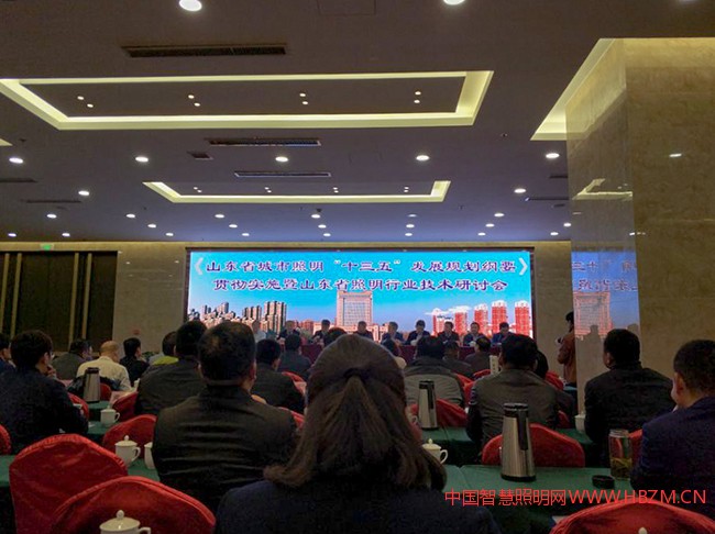 凌寶電氣參加2017年山東省照明“十三五”規(guī)劃