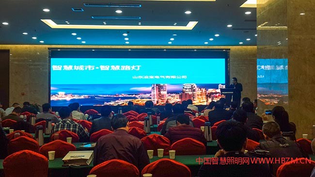 凌寶電氣參加2017年山東省照明“十三五”規(guī)劃