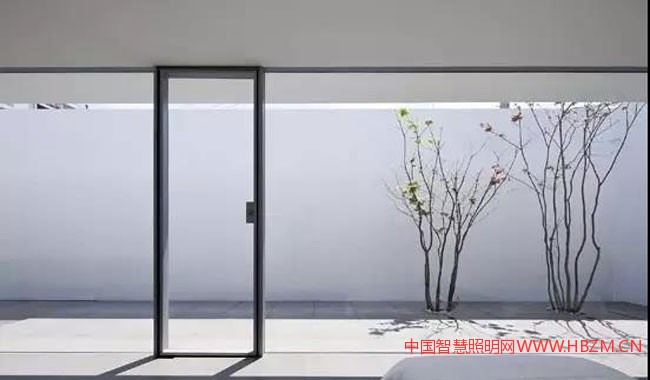 單調(diào)+強(qiáng)調(diào)