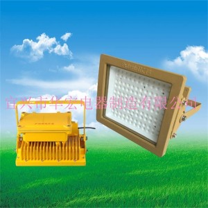 BAD808-L3 LED防爆泛燈 LED防爆路燈