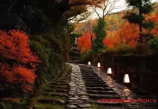 景觀照明-中國智慧照明網(wǎng)