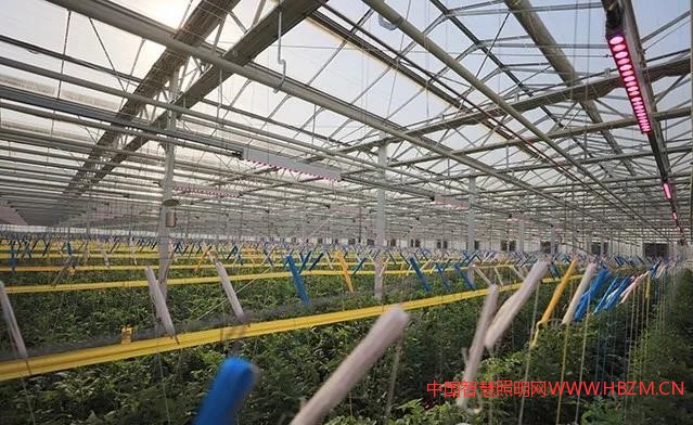 飛利浦GreenPower LED 補(bǔ)光系統(tǒng)---中國智慧照明網(wǎng)