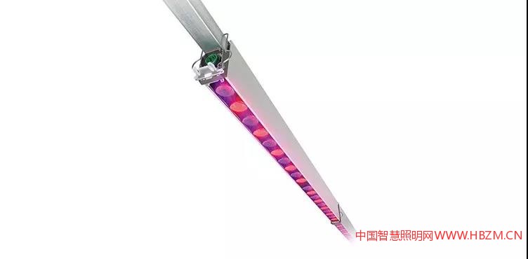 飛利浦GreenPower LED 頂光模組---中國智慧照明網(wǎng)