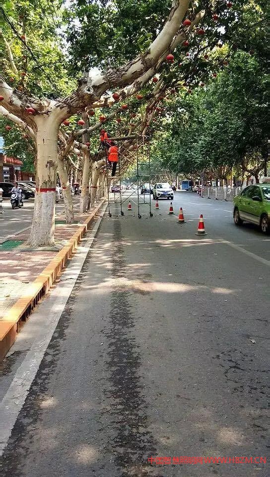 路燈維修---中國智慧照明網(wǎng)