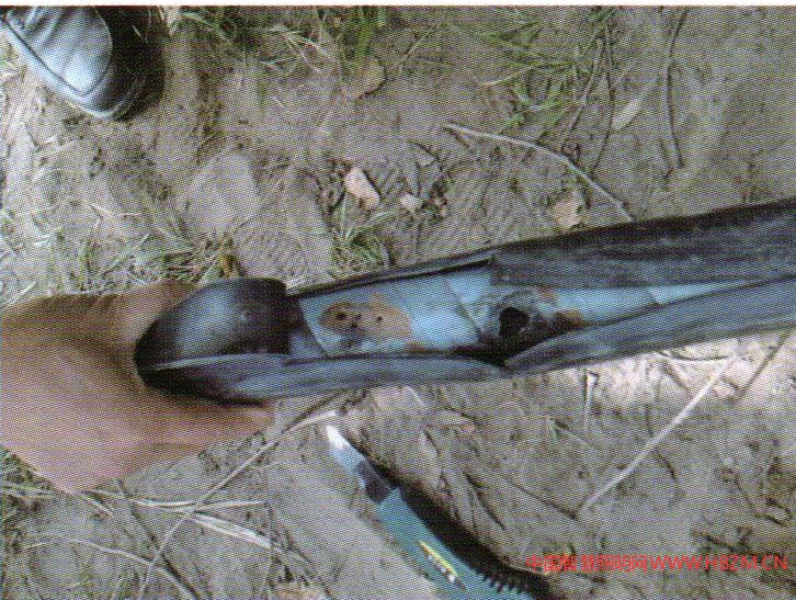 圖1電纜短路將凱裝擊穿