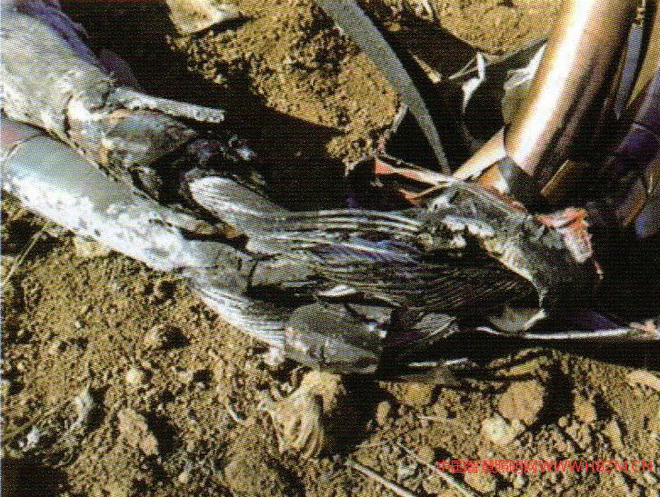   圖2電纜絕緣損壞短路發(fā)熱烷穿