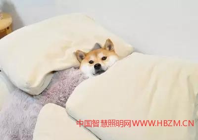 臥室電路設(shè)計(jì)---中國(guó)智慧照明網(wǎng)