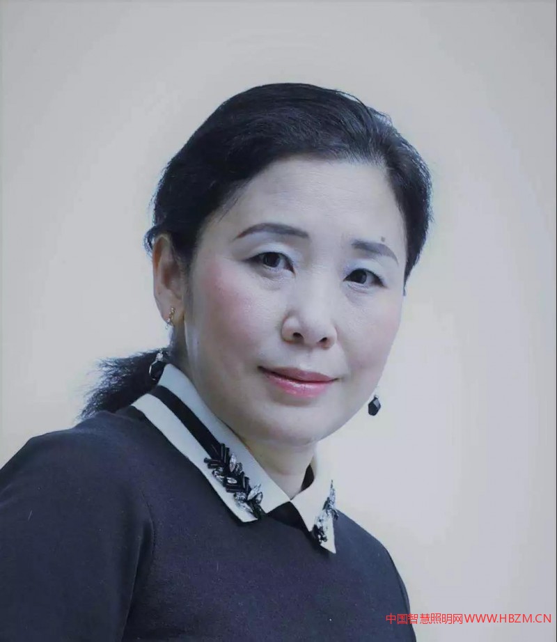 中國照協(xié)照明工程工作委員會主任、同濟(jì)大學(xué)教授郝洛西女士---中國智慧照明網(wǎng)