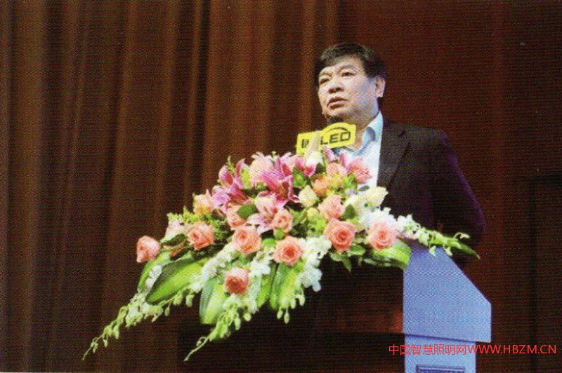 ▲中國照明學(xué)會秘書長竇林平作主題報(bào)告