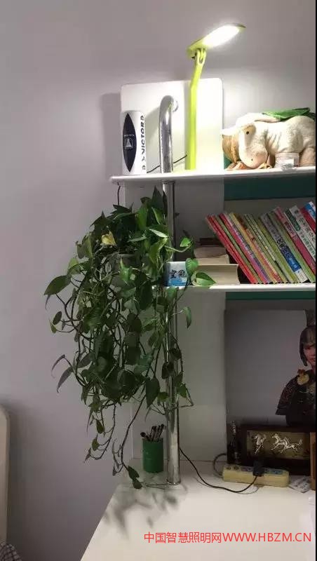 室內照明---中國智慧照明網(wǎng)