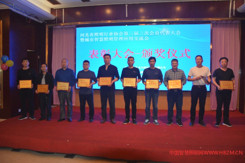 河北照明行業(yè)2018年度&ldquo;先進(jìn)單位&rdquo;代表上臺領(lǐng)獎
