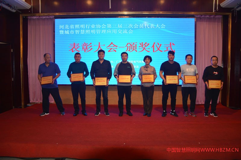 河北照明行業(yè)2018年度&ldquo;優(yōu)質(zhì)服務(wù)窗口&rdquo;代表上臺領(lǐng)獎